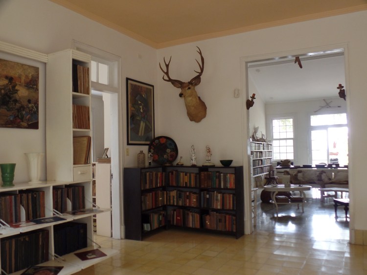 SAMSUNG CAMERA PICTURES