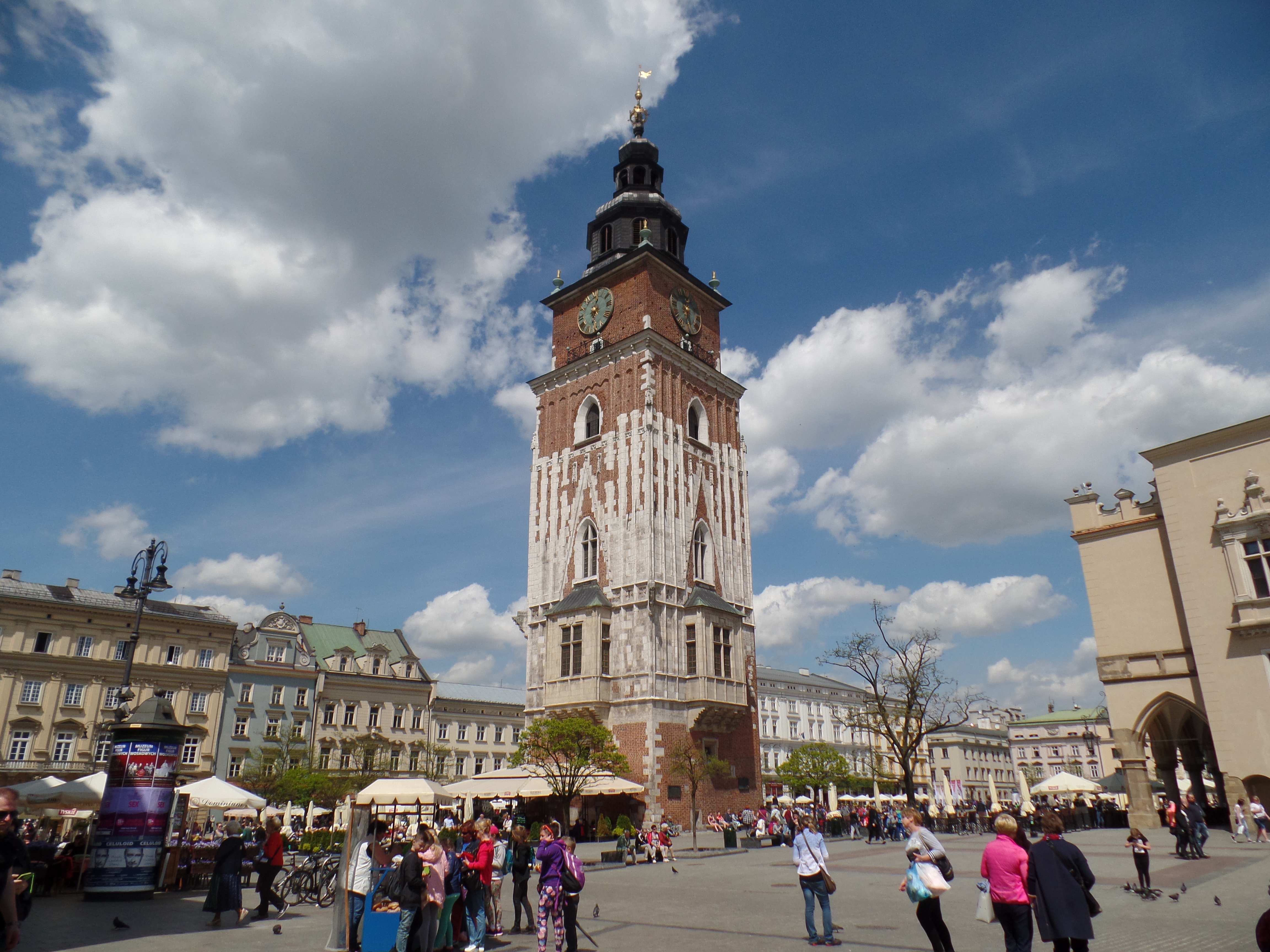 SAMSUNG CAMERA PICTURES