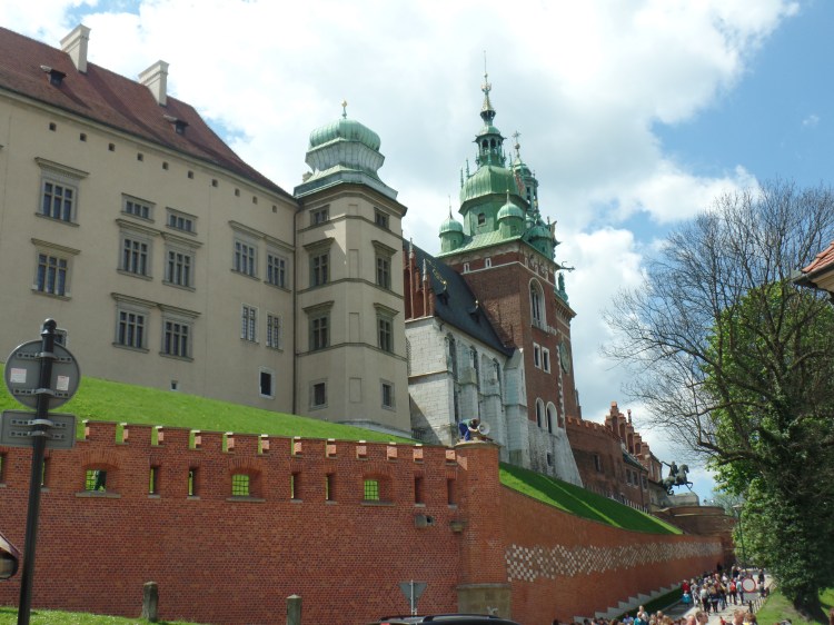 SAMSUNG CAMERA PICTURES