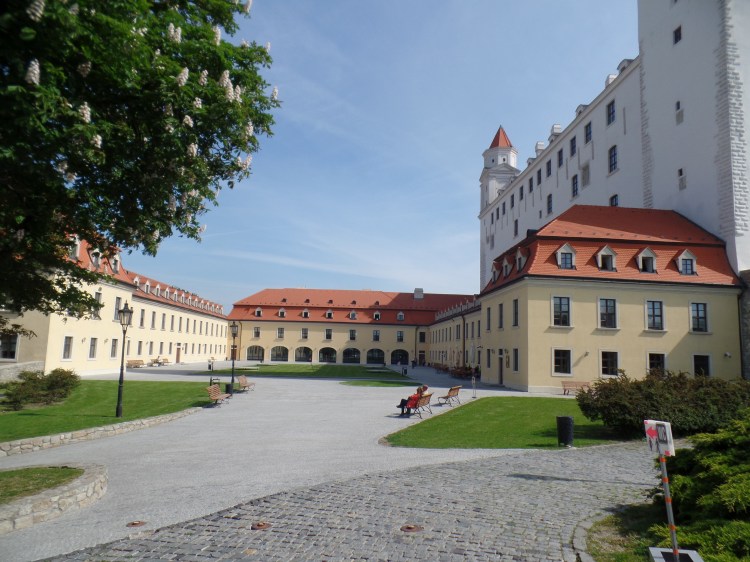 SAMSUNG CAMERA PICTURES